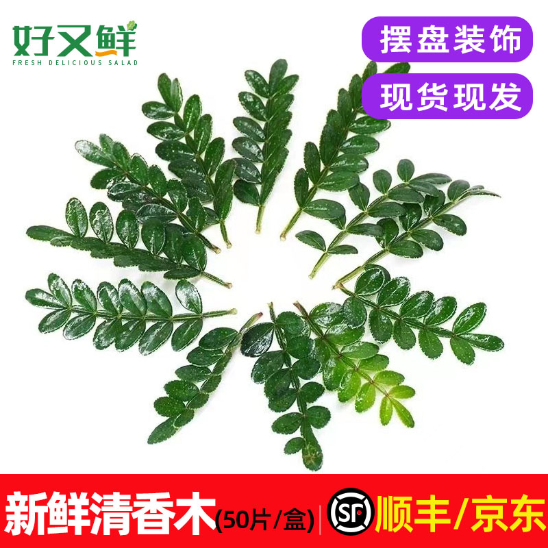 新鲜清香木摆盘蛋糕装饰用叶包邮