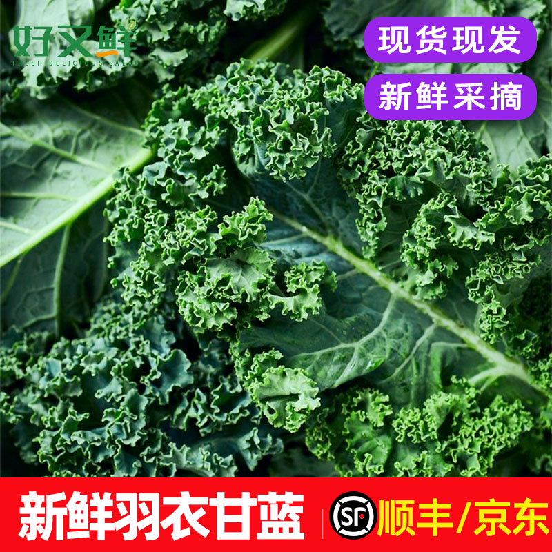 羽衣甘蓝新鲜食用绿色沙拉蔬菜榨汁烤片健身西餐轻食食材kale包邮