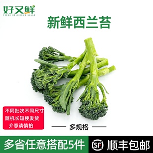 西兰苔新鲜手指西兰花苔青花苔青花菜西餐食材沙拉炒食蔬菜细嫩杆