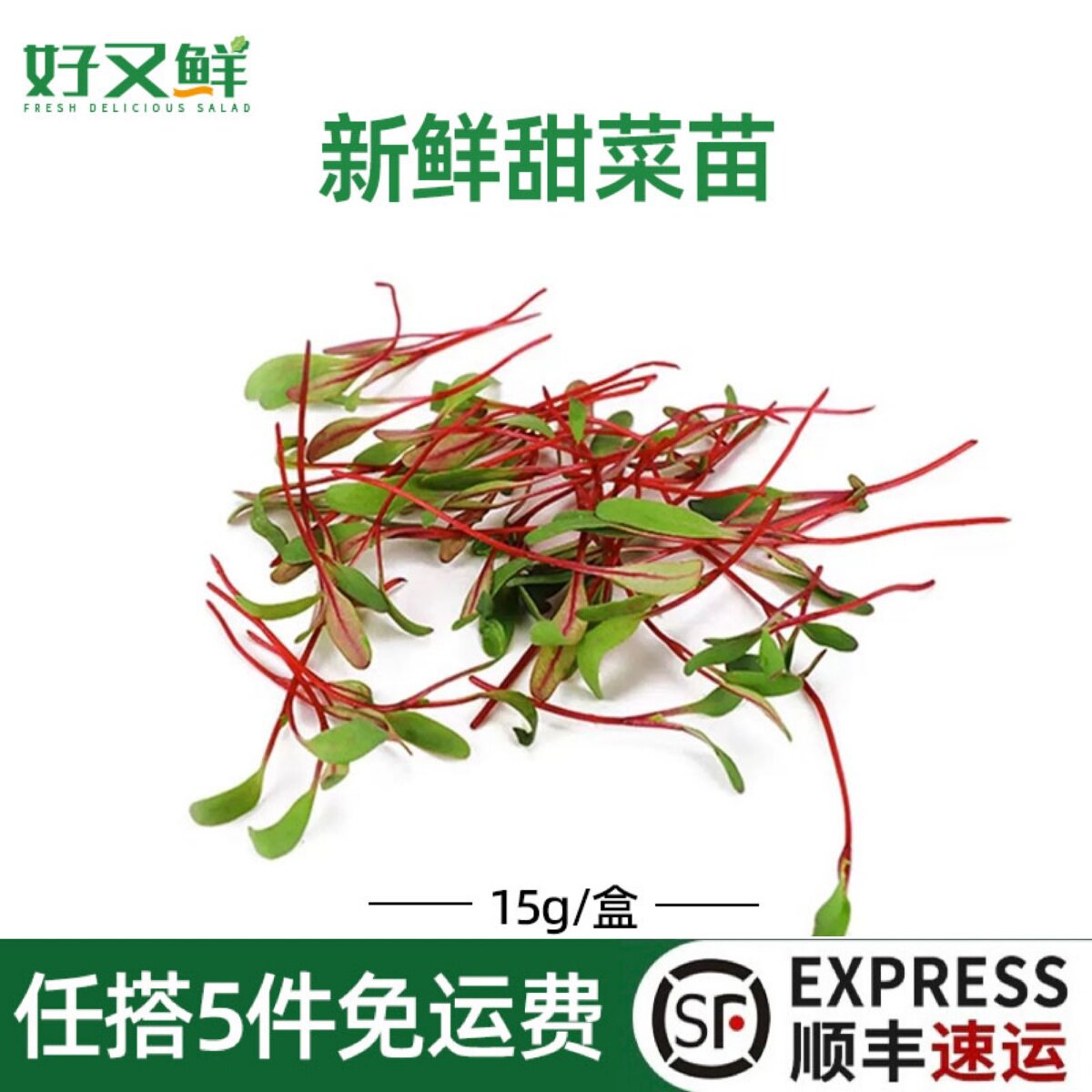 新鲜甜菜苗牛皮草可食用红色芽苗菜西餐摆盘蛋糕烘培装饰点缀花草