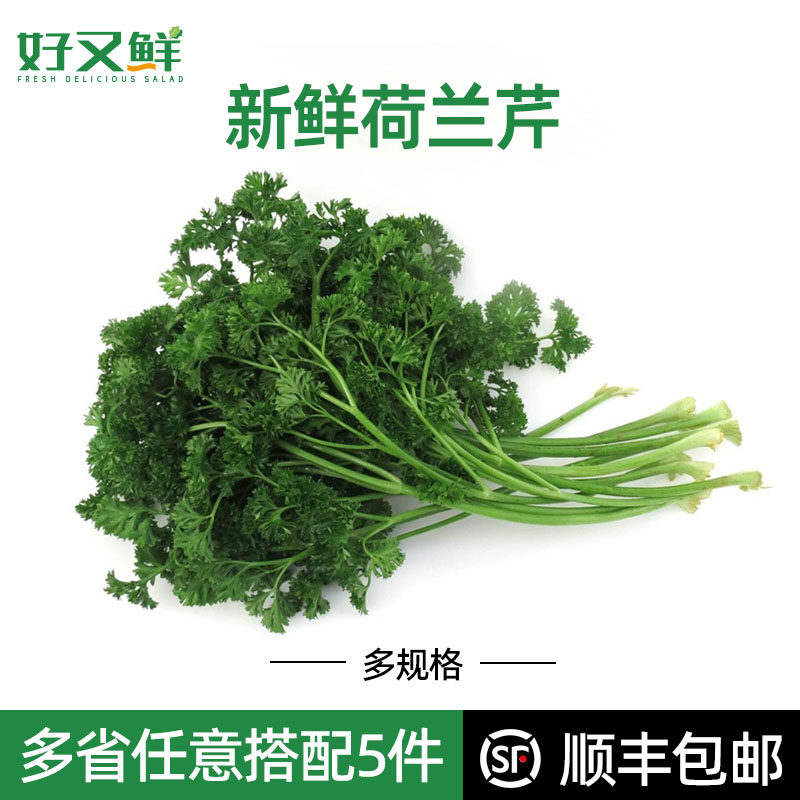 新鲜荷兰芹方西卷叶欧芹法国香芹法香菜蛋糕摆盘装饰点缀榨汁蔬菜_虎窝淘