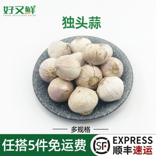 独头蒜新鲜紫皮大蒜头紫皮蒜云南农家现挖糖蒜味浓调味蔬菜非干蒜