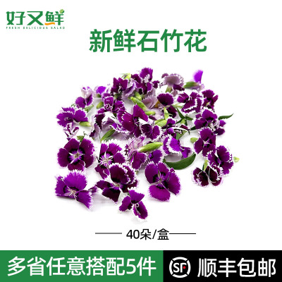 新鲜石竹花日料烘培装饰点缀花草