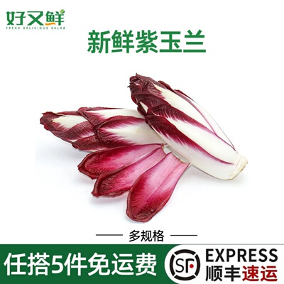 新鲜紫玉兰菜嫩芽球沙拉摆盘蔬菜