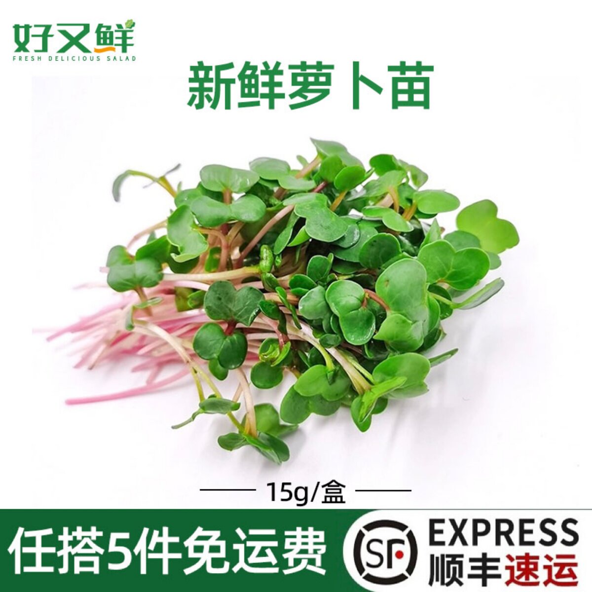 萝卜苗新鲜红梗苗芽菜可食用西餐摆盘日料蛋糕烘焙装饰点缀鲜花苗