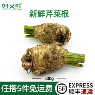 根芹新鲜食用芹菜根洋芹celeriac西餐酒店特色食材香料蔬菜芹菜球