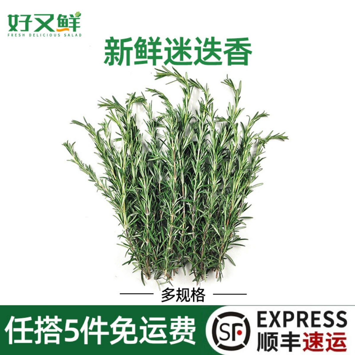 新鲜迷迭香食用香草马鞭草西餐牛羊排香料食材烘培装饰摆盘玛丽草