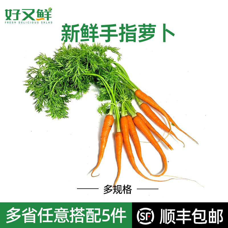 新鲜手指萝卜迷你红人参萝卜甘笋带叶即食沙拉菜西餐食材榨汁脆甜 水产肉类/新鲜蔬果/熟食 其它 原图主图