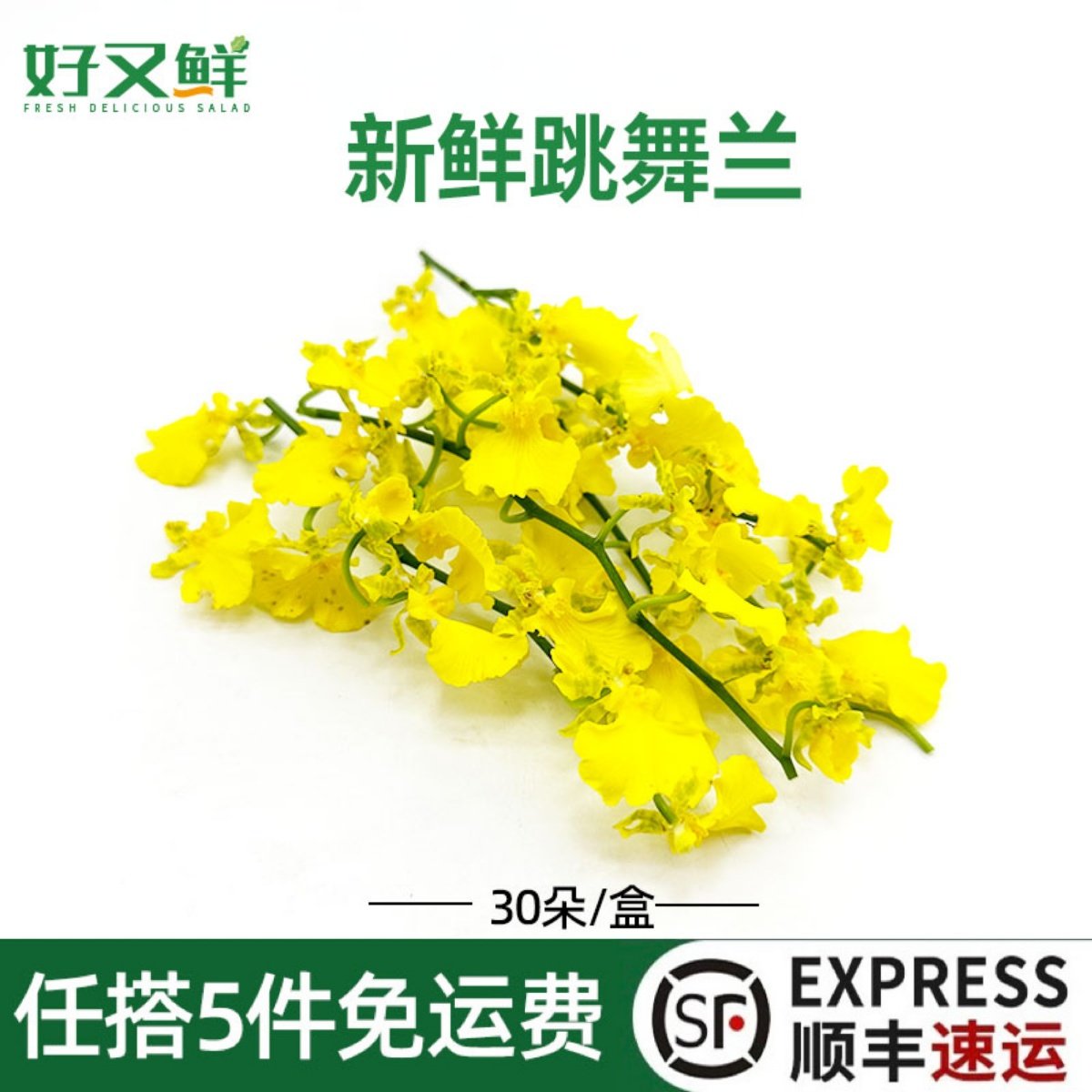 新鲜跳舞兰蝴蝶兰文心兰花可食用西餐摆盘日料烘培蛋糕装饰点缀花