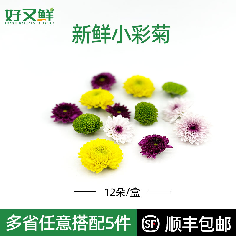 新鲜多色彩菊混色纽扣菊花鲜花小雏菊西餐厅酒店餐饮蛋糕摆盘装饰