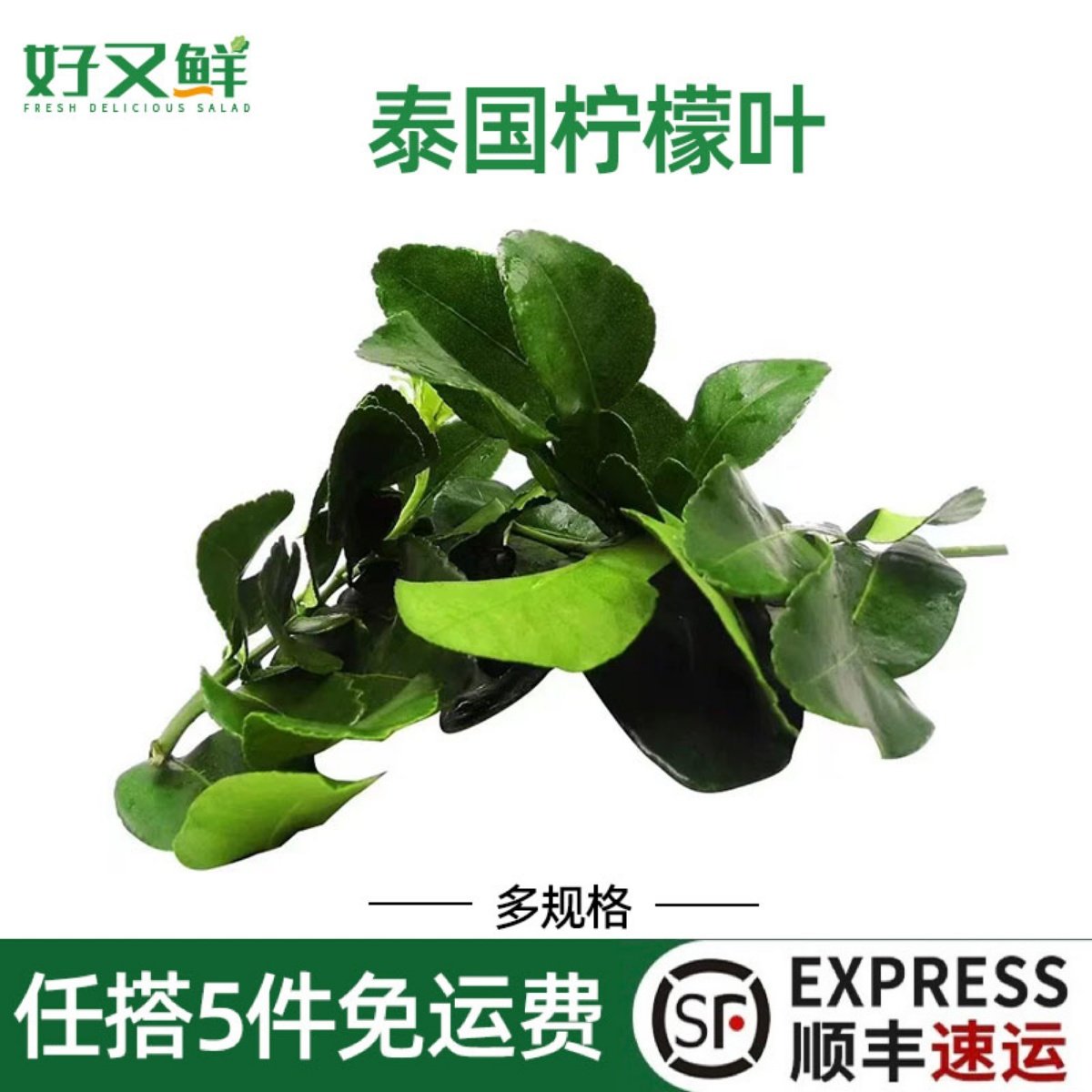 新鲜泰国柠檬叶皱皮柠檬叶东南亚菜冬阴功汤香料菜食材粗皮青柠叶