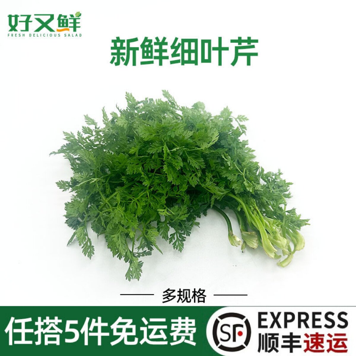 新鲜细叶芹 西餐香料菜雪维菜 有喙欧芹酒店西餐摆盘装饰点缀蔬菜