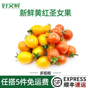 新鲜红黄圣女果两色小番茄小西红柿沙拉西餐摆盘食材孕妇即食水果