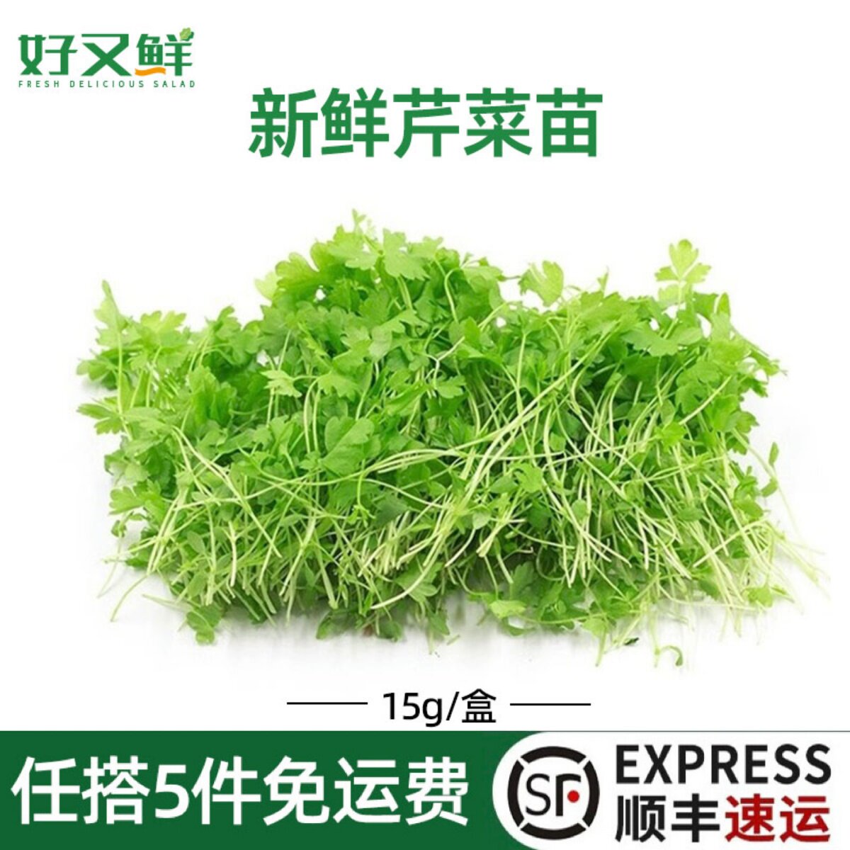 新鲜芹菜苗香芹苗三叶香可食用微型芽苗菜西餐摆盘装饰点缀鲜花草