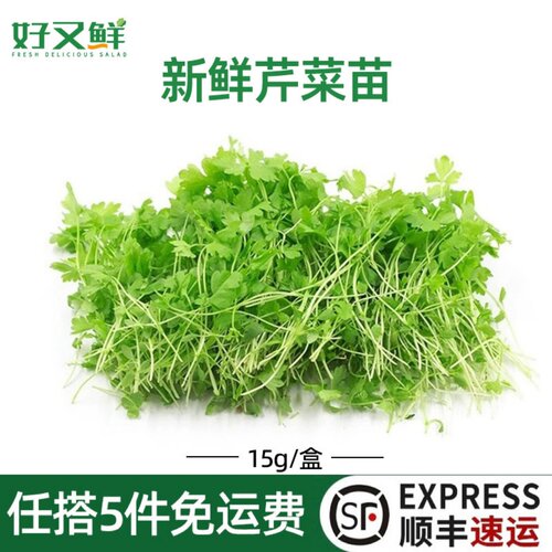 新鲜芹菜苗西餐摆盘装饰点缀花草