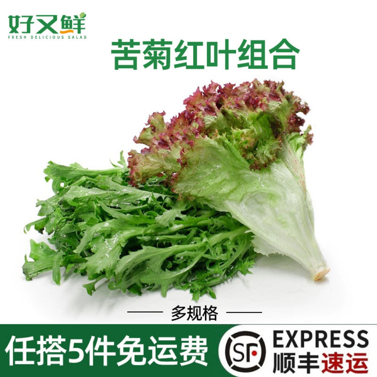 新鲜苦菊红叶生菜苦叶九芽紫叶沙拉菜组合即食蔬菜西餐健身轻食材