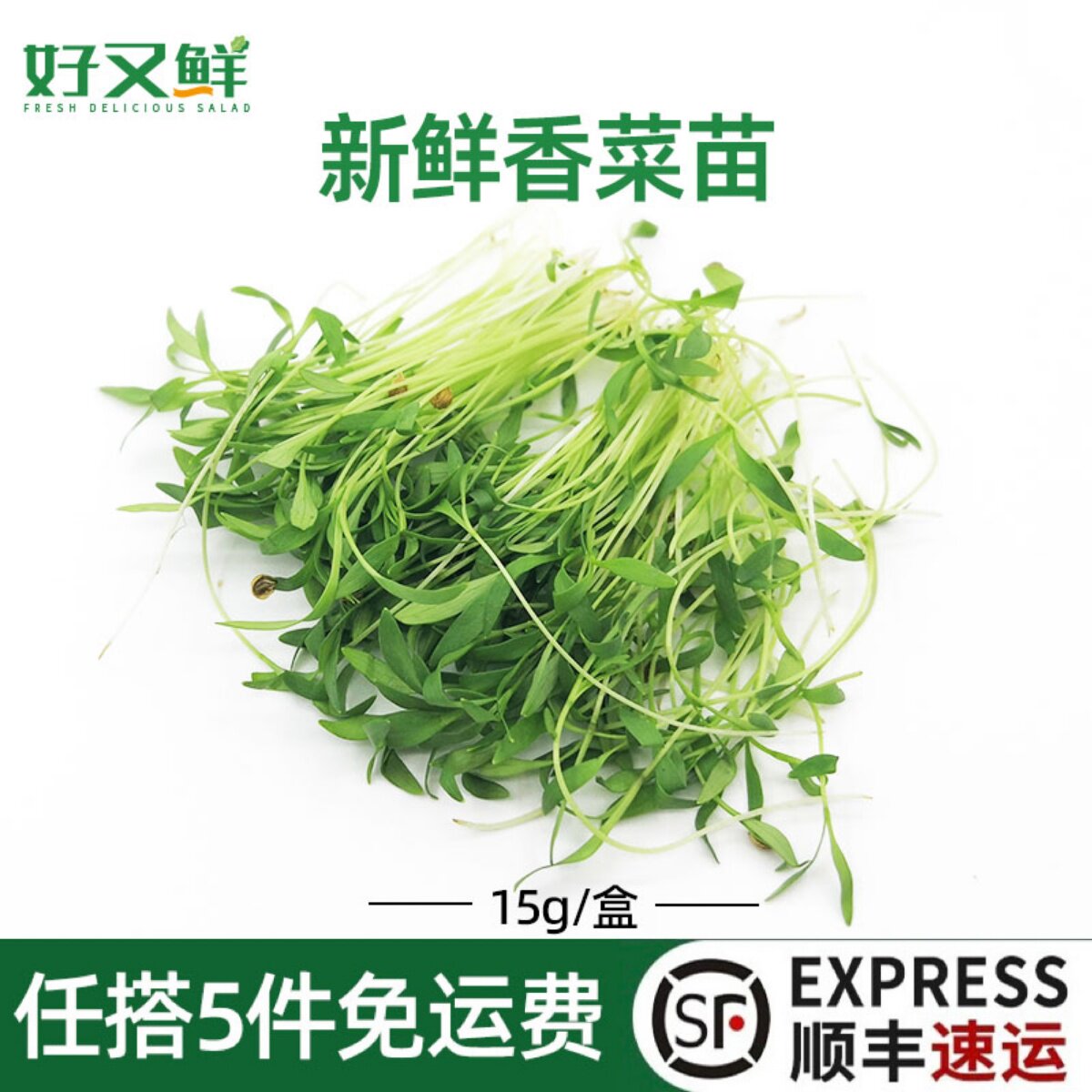 新鲜香菜苗可食用微型芽苗菜西餐摆盘日料蛋糕烘培点缀装饰鲜花草