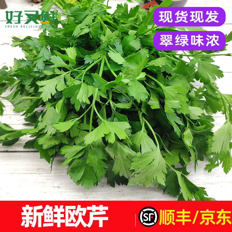 欧芹新鲜意大利芹巴西里平叶香芹菜食用西餐调味蔬菜摆盘装饰包邮