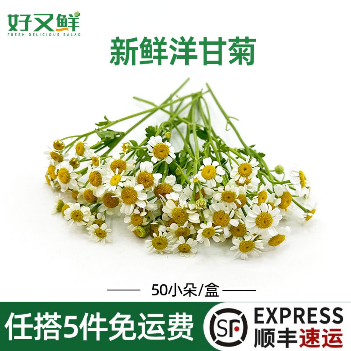 新鲜洋甘菊小雏菊迷你白菊花西餐摆盘烘焙蛋糕装饰点缀花草50小朵