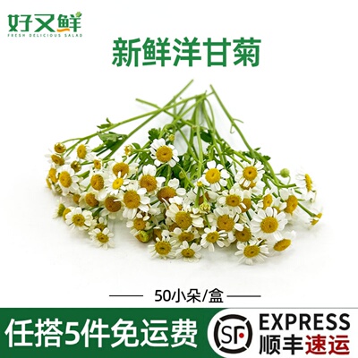 新鲜洋甘菊西餐蛋糕摆盘点缀装饰