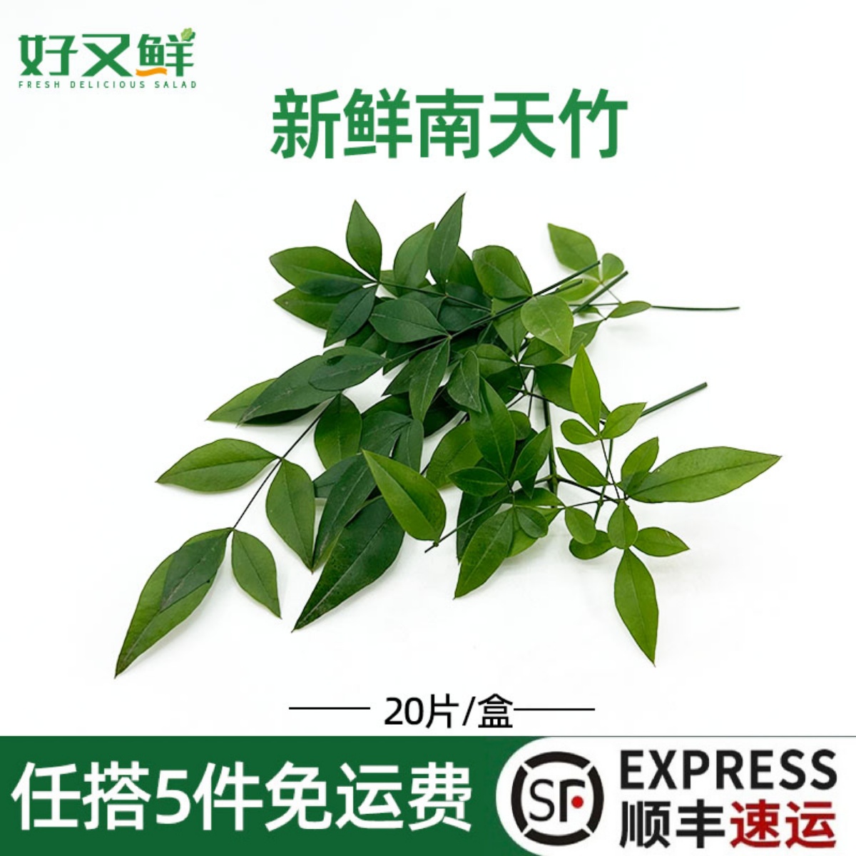 新鲜绿南天竹叶摆盘装饰点缀花草