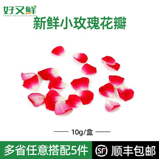 饰点缀花材 新鲜小玫瑰花瓣月季 花可食用花蛋糕烘焙酒店西餐摆盘装