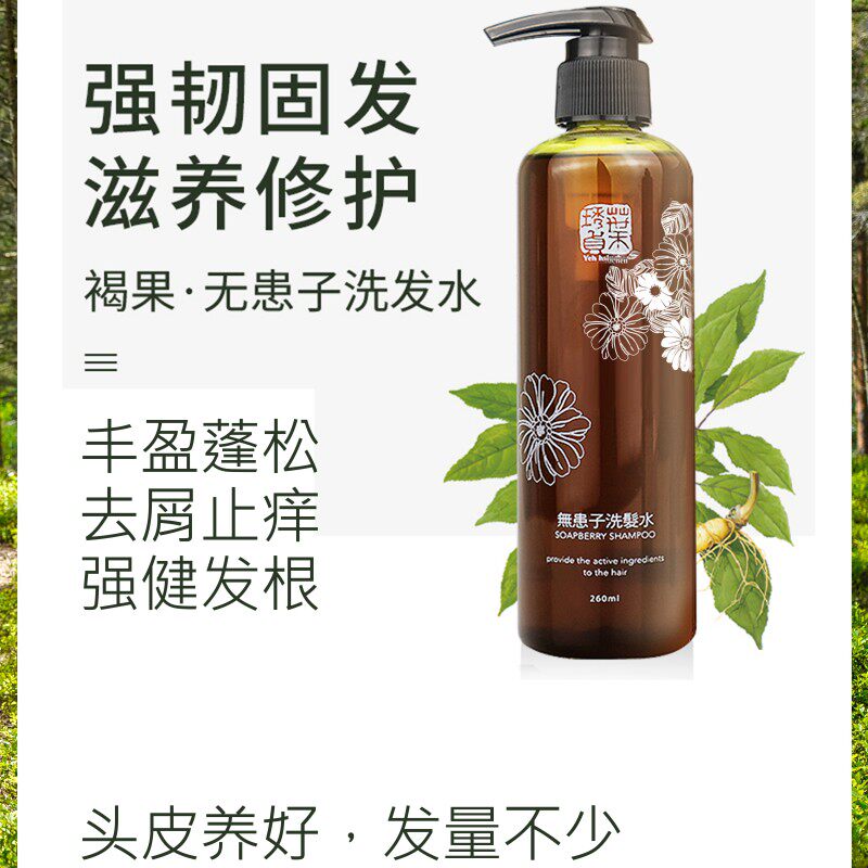 进口台湾褐果无患子生增发去屑止痒控油不含月桂醇硫酸酯钠洗发水
