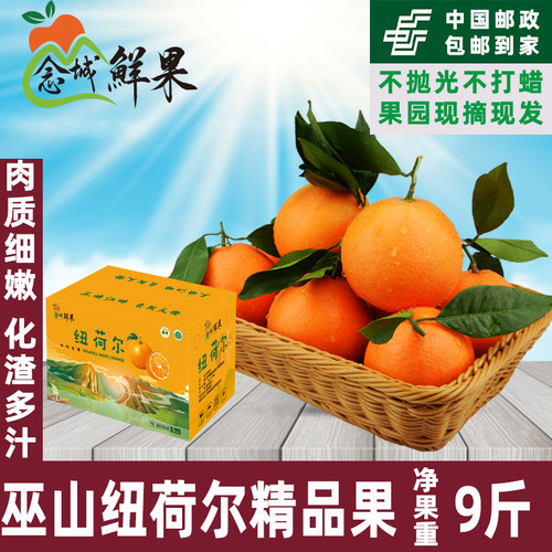 重庆特产巫山恋橙纯甜爆汁非奉节脐橙新鲜水果现摘现发9斤包邮