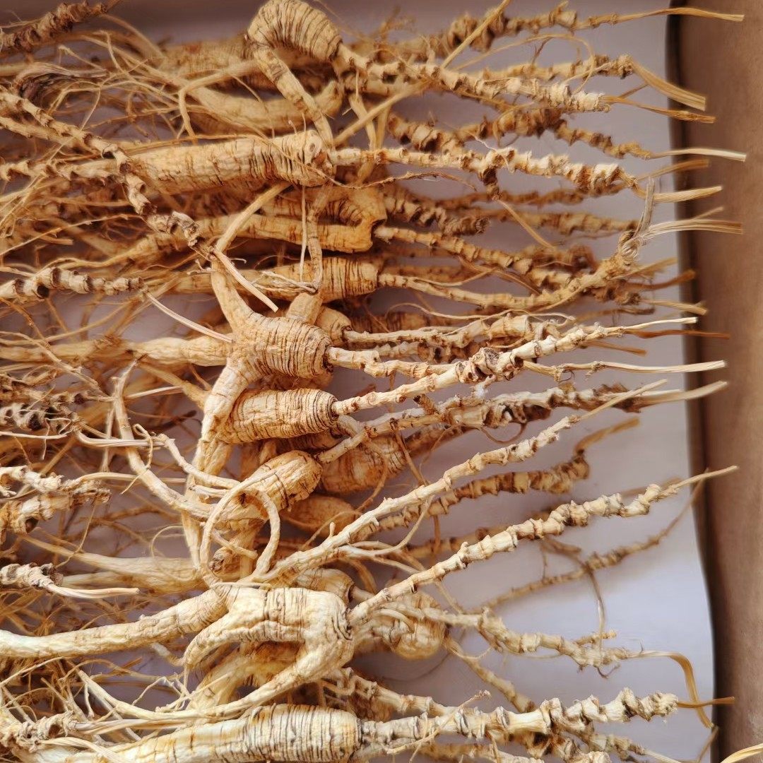 25年至30年林下参籽货 野山参 高品质林下石柱参 送礼自用清仓