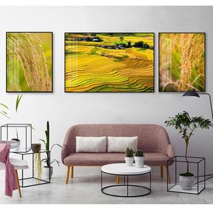 稻穗画水稻沙发背景墙壁餐厅装饰画田园风景稻谷组合丰收挂画包邮