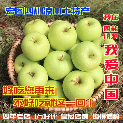 现摘现发盐源青苹果金帅