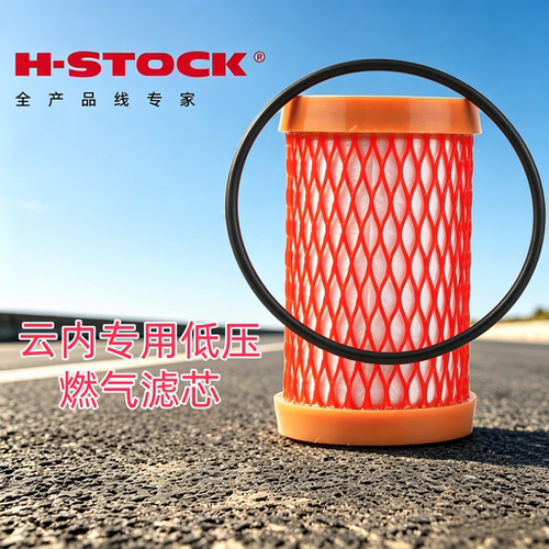 护卡YN30QNF-110031天然气滤芯