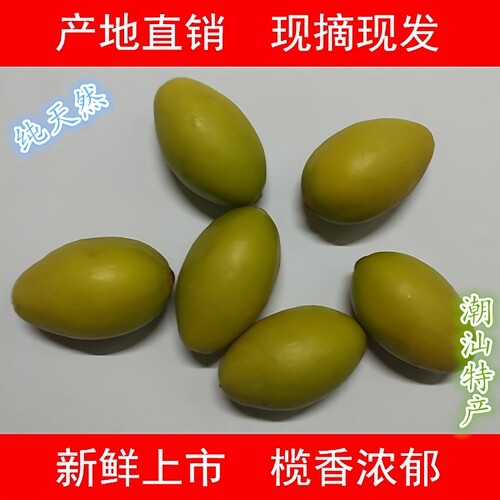 潮汕特产新鲜香甘黄橄榄