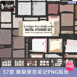 撕裂纸张日记笔记本手帐便签Goodnotes贴纸png免抠可商用美工素材