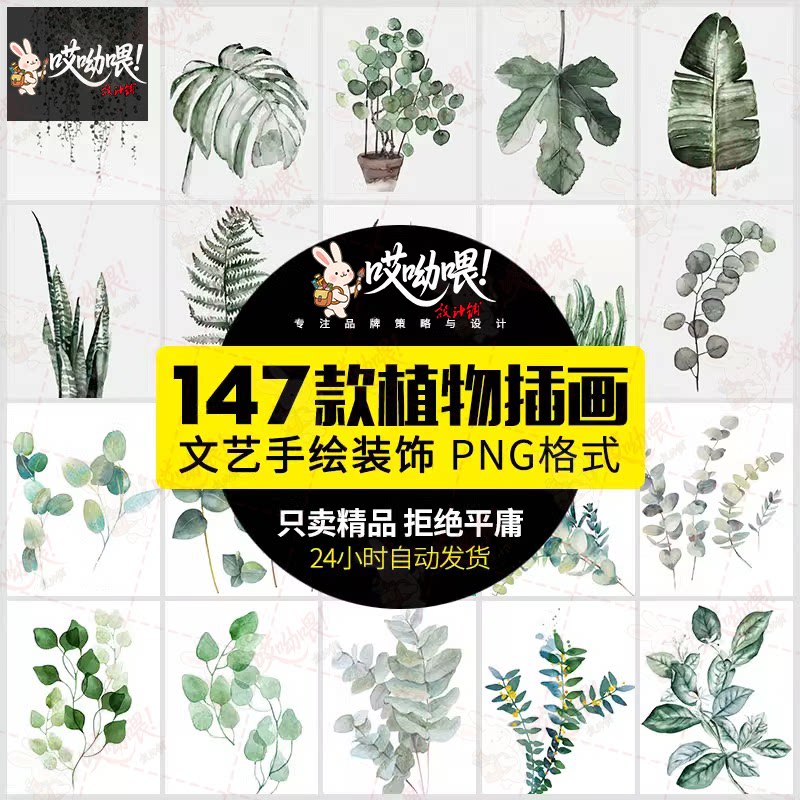 北欧文艺小清新绿色植物仙人掌叶子装饰插画花芯高清图片背景素材
