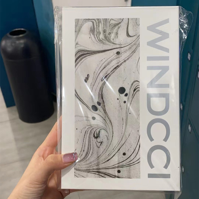 WINDCCI海马体门店同款刷子