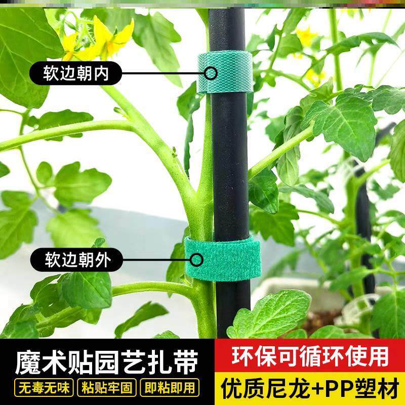 重复使用植物绿植绑带