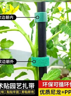 绿植扎带捆绑绿色魔术贴粘扣带不伤植物支撑固定热植绑带植物捆绑