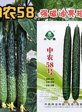 中蔬中农58号强雌高产黄瓜种子