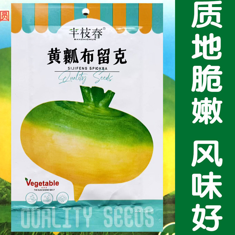 东北卜留克种子黄瓢布留克籽恰玛古圆蔓菁芜菁圆盘菜土苤蓝蔬菜孑