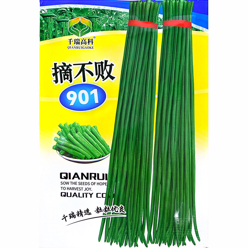精选特长高产春夏肉厚豇豆种子图片