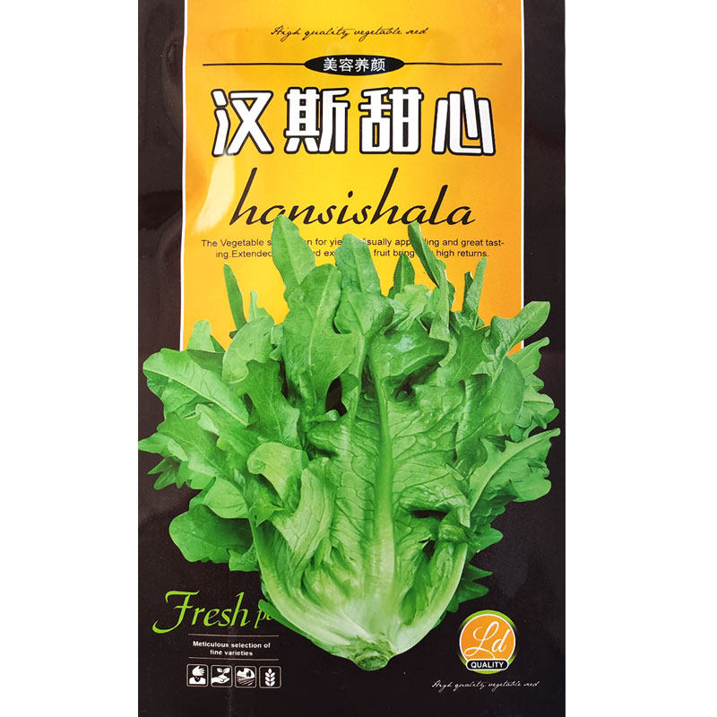 汉斯沙拉生菜香香菜种子窝鸡窝麻叶菜油麦菜青菜春季四季蔬菜籽孑