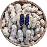 Черные семена арахиса 夏 Весна и лето сеяют фиолетовые черные семена арахиса Черные семена арахиса оригинального арахиса