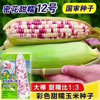 Пакетик 40 г [Михуа Тяньнуо № 12]