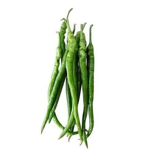 Семена перца линии перца Су Руньи, яровые высокоурожайные семена овощных культур перца линии, раннеспелые, устойчивые к болезням, высокоурожайные, высеваются в четыре сезона весной и летом.