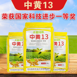 大豆种子中黄13黄豆种子高产黄豆种籽大粒抗病国产大豆种子基地用