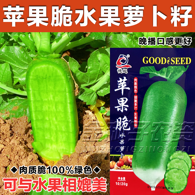 苹果脆水果萝卜种子种籽子