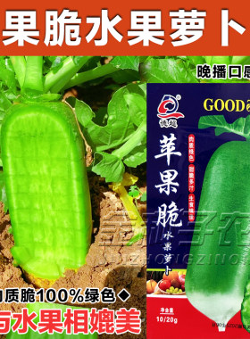 苹果脆水果萝卜种子种籽子