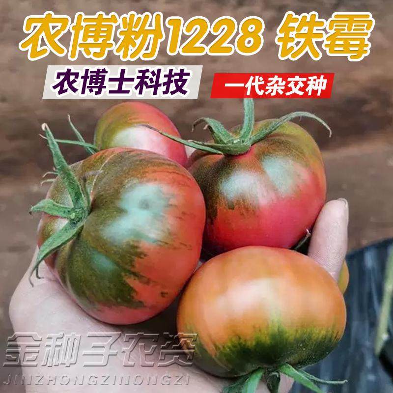 正宗铁皮柿子丹东西红柿种子苗水果草莓番茄种籽盆栽四季蔬菜种孑,农用物资,蔬菜种子/种苗,淘宝优惠券,粉丝福利购,淘宝优惠卷