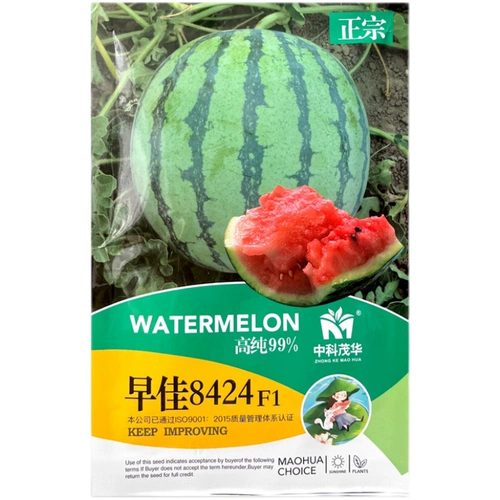 Семена арбуза кирина в скале Кирин, семена арбуза с желтой кожукой